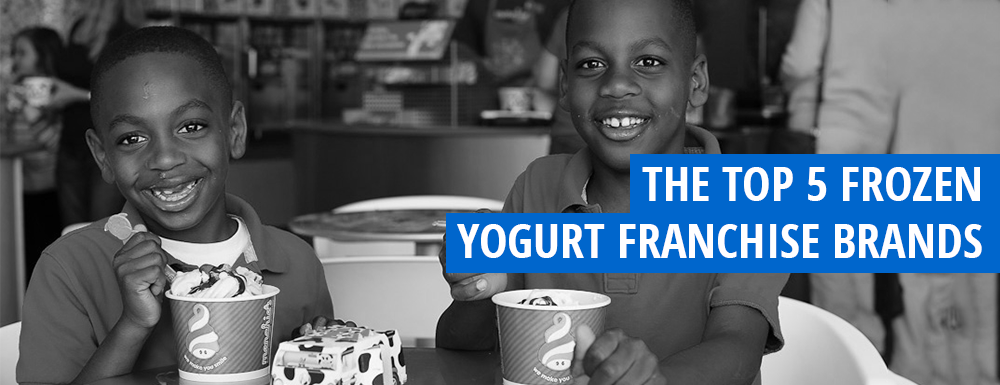 The Top 5 Frozen Yogurt Franchises