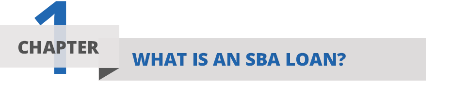 Guidant Financial guide to Everything you need to know about SBA Loans- Chapter One: What is an SBA Loan Chapter One: What is an SBA Loan