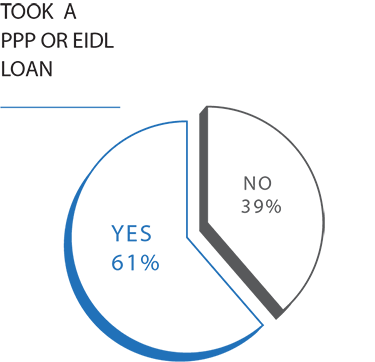 pie chart graphic showing how many small business owners received a PPP or EIDL loan