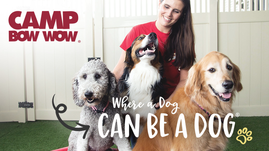 Camp Bow Wow image "Where a dog can be a dog" with a happy employee and three dogs. (Hottest Pet Care Franchises - Guidant Financial Blog).