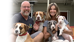 Header Woof Academy