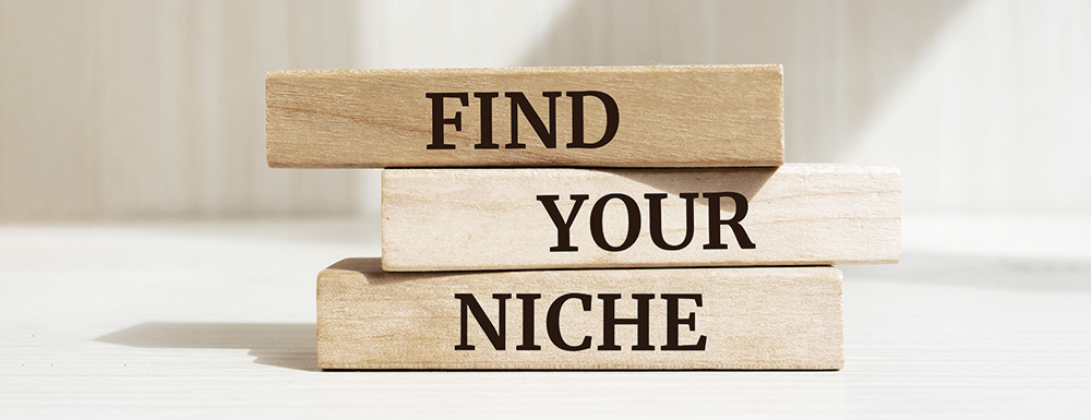 "Find Your Niche" written on blocks. (How to Find Your Business Niche - Guidant Blog).
