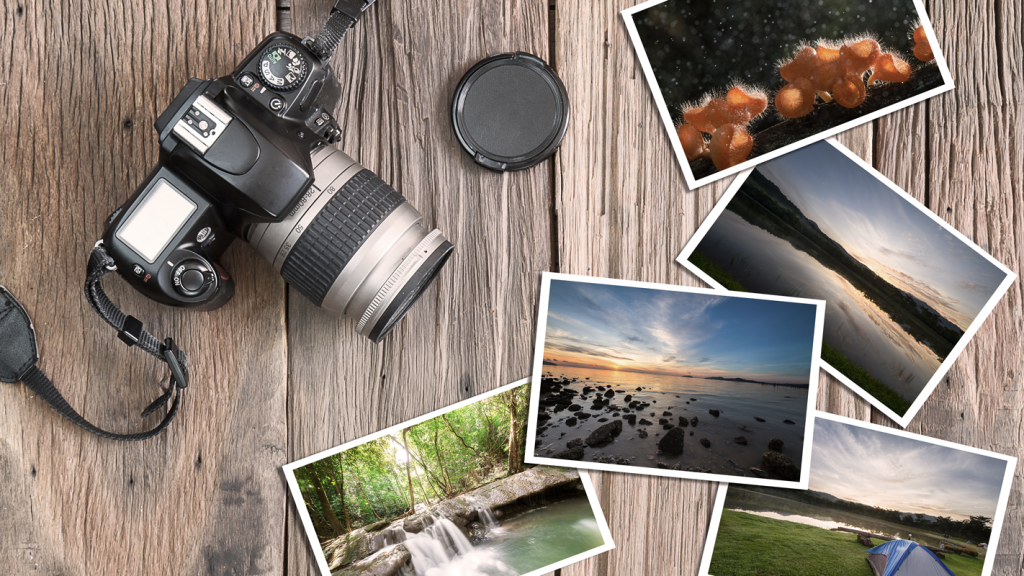 Photo of camera and photographs on a wooden table. (How to Start a Photography Business in 8 Steps - Guidant Blog).