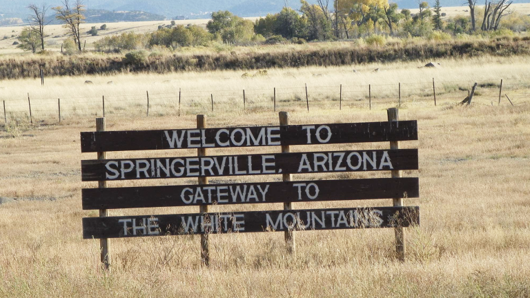 Springerville Az Sign